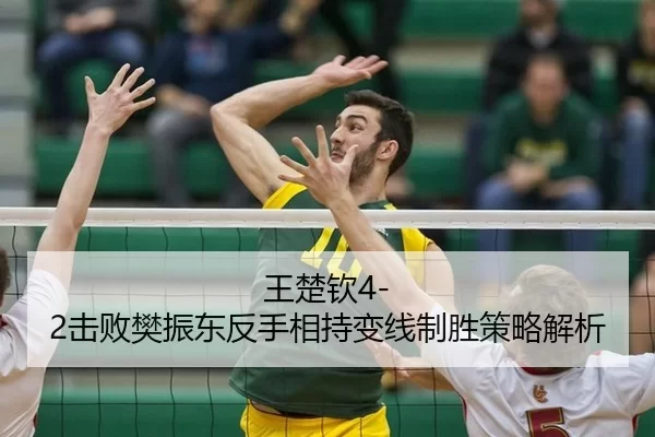王楚钦4-2击败樊振东反手相持变线制胜策略解析